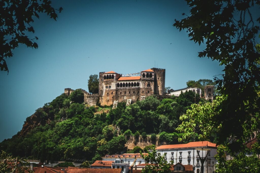 Vista inferior do Castelo de Leiria, com muralhas de pedra e torres sob céu azul, cercado por vegetação.