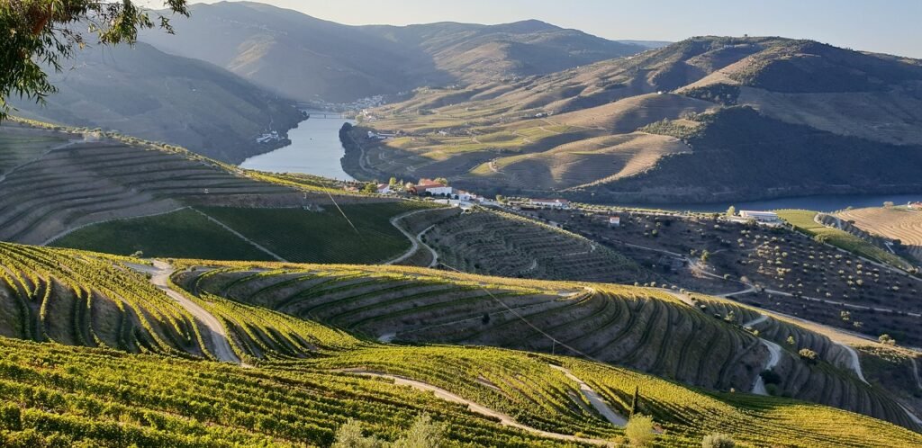 Vista panorâmica do rio Douro serpenteando entre colinas cobertas por vinhedos em socalcos, no norte de Portugal.